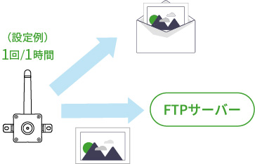 画像定期送信