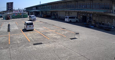 津山中央青果株式会社(岡山県)
